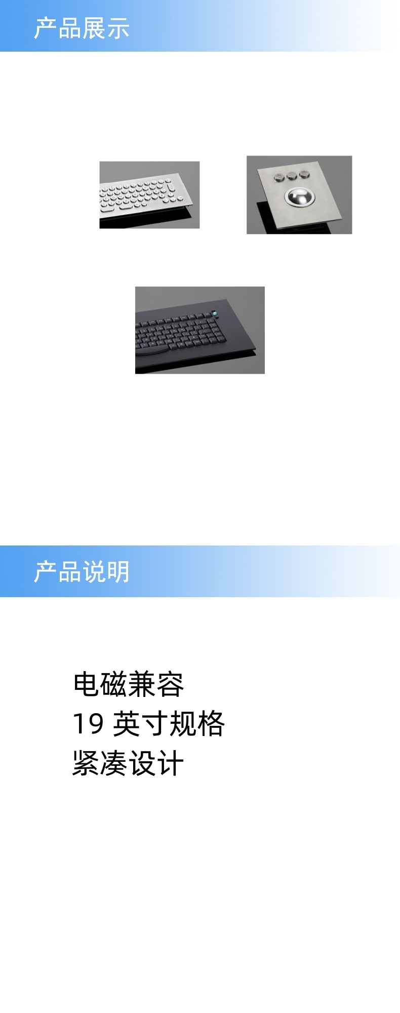 02.6.jpg