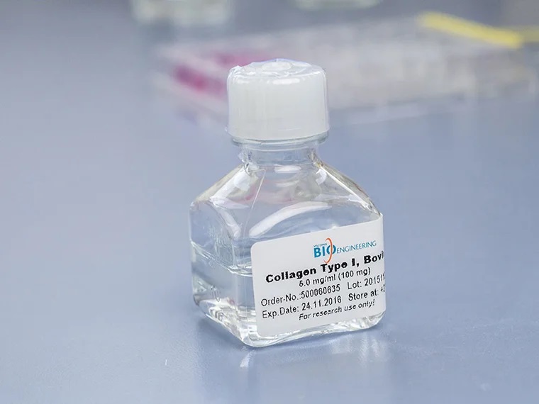 水溶性牛膠原蛋白soluble-collagen-1-02.jpg