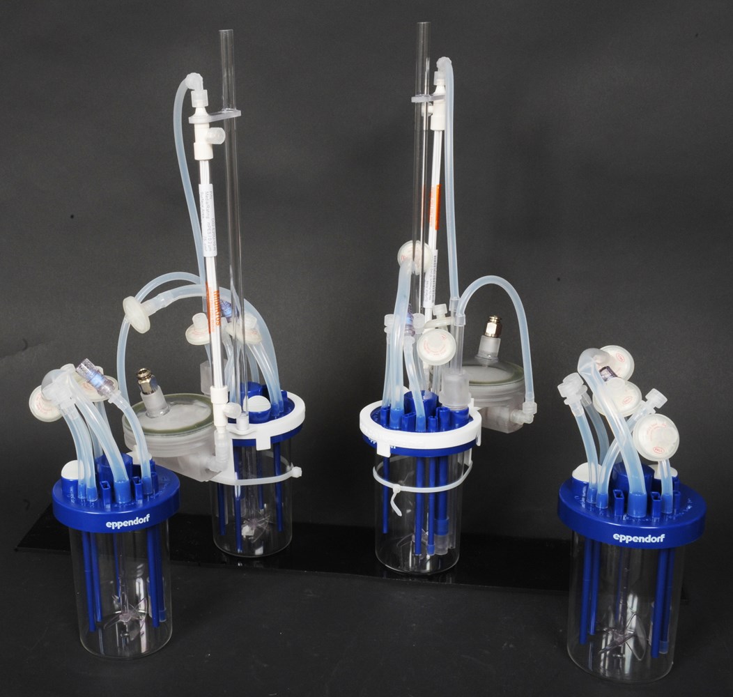 bioblu-03c-and-cellmembra-300.jpg