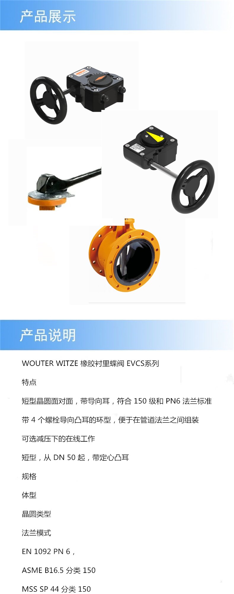 阿里詳情_wouter.jpg