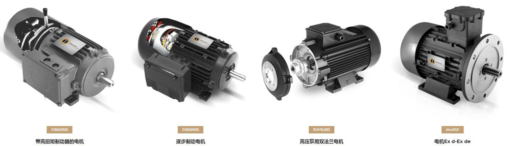 Sicmemotori電機(jī)