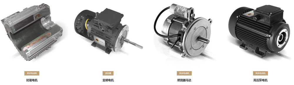 Sicmemotori電機(jī)