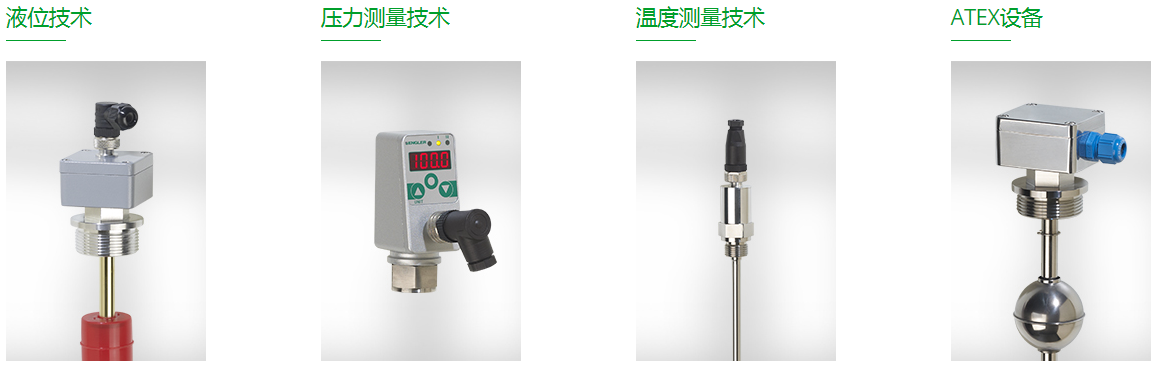 engler傳感器